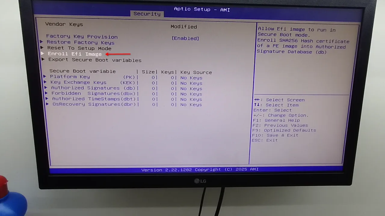 Enroll Efi Image