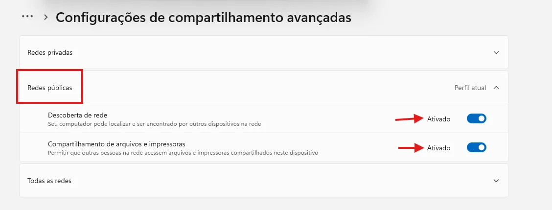 Redes públicas
